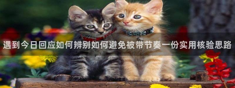 91 吃瓜
