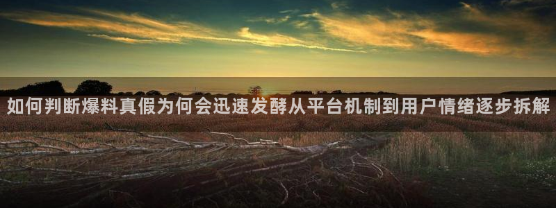 吃瓜爆料网