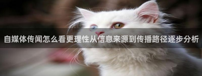52吃瓜:自媒体传闻怎么看更理性从信息来源到传播路径逐步分析